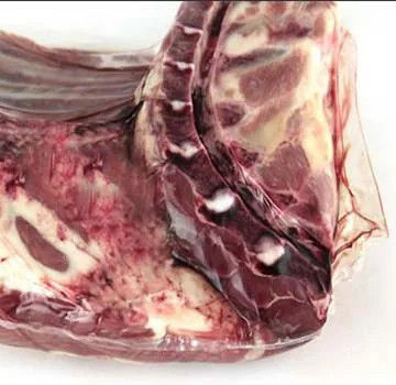 Bolsas de embalaje de carne fresca fría con película de contracción PA/PE y bolsas con película de contracción PVDC