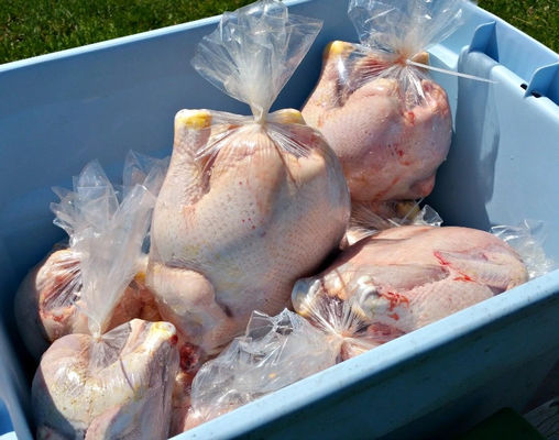 Bolsas de embalaje de carne fresca fría con película de contracción PA/PE y bolsas con película de contracción PVDC